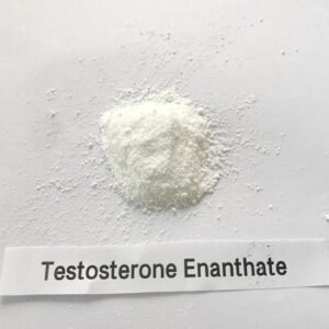 98.5% Testosterone Enanthate Powder