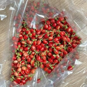 Drug Lord Coca Seeds
