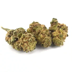 Cookie Monster (AA)
