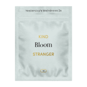 Kind Stranger Bloom: Premium Magic Mushroom Capsules