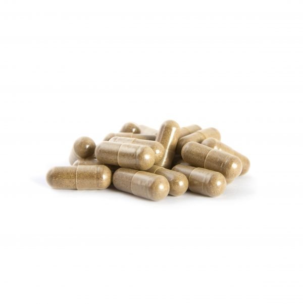 Osmosis Focus Mushroom Microdose Capsules 100mg - Image 2